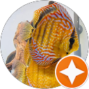 Adrian Ch profile picture